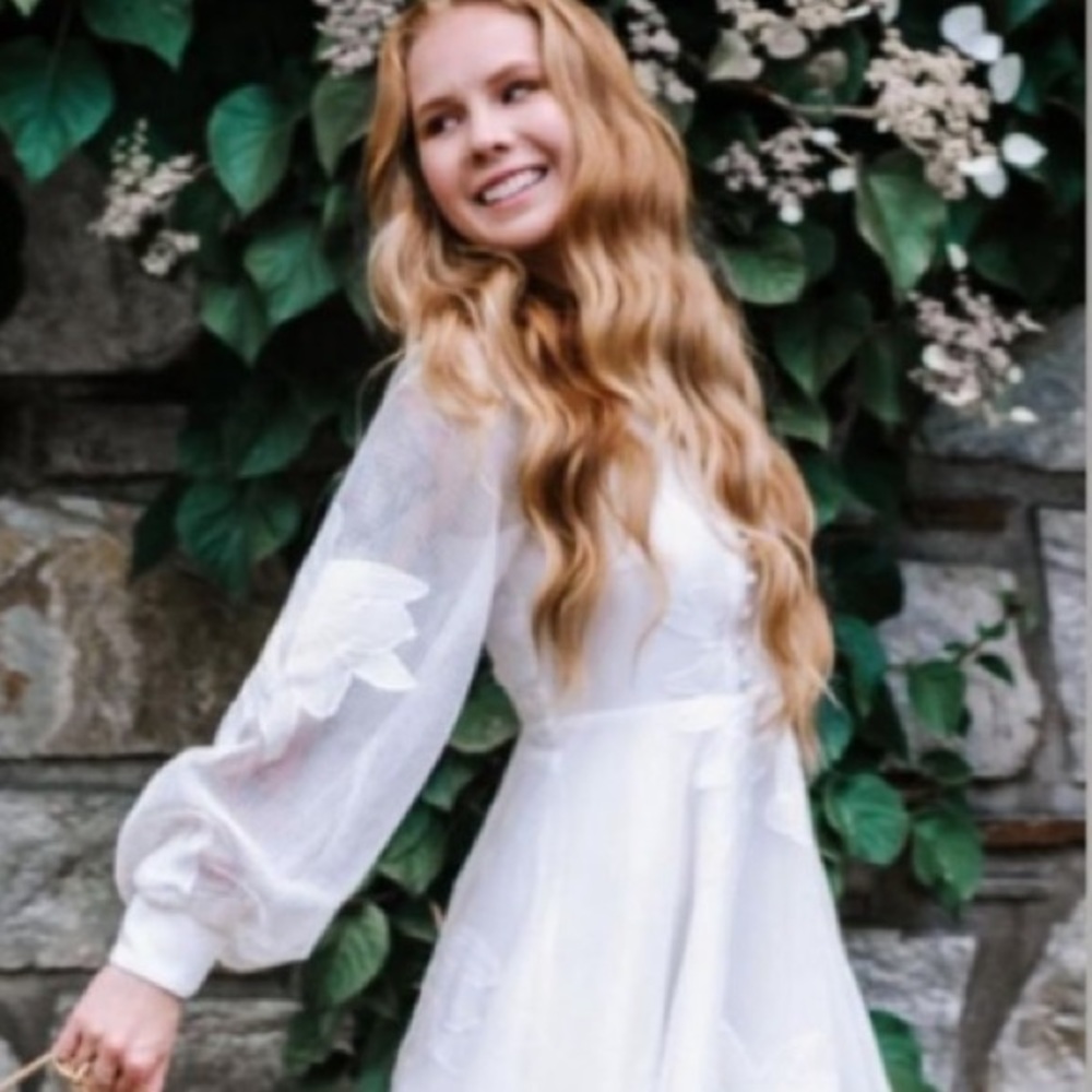 Anthropologie Sabine Embroidered Mini Dress - Picture 2 of 7